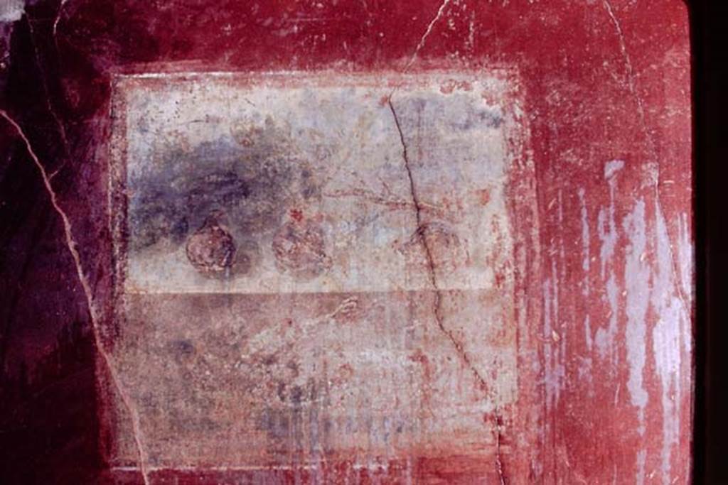I.6.4 Pompeii. 1968. Room 2, wall painting of still life with figs, in centre of north wall.
Photo by Stanley A. Jashemski.
Source: The Wilhelmina and Stanley A. Jashemski archive in the University of Maryland Library, Special Collections (See collection page) and made available under the Creative Commons Attribution-Non Commercial License v.4. See Licence and use details.
J68f0463
