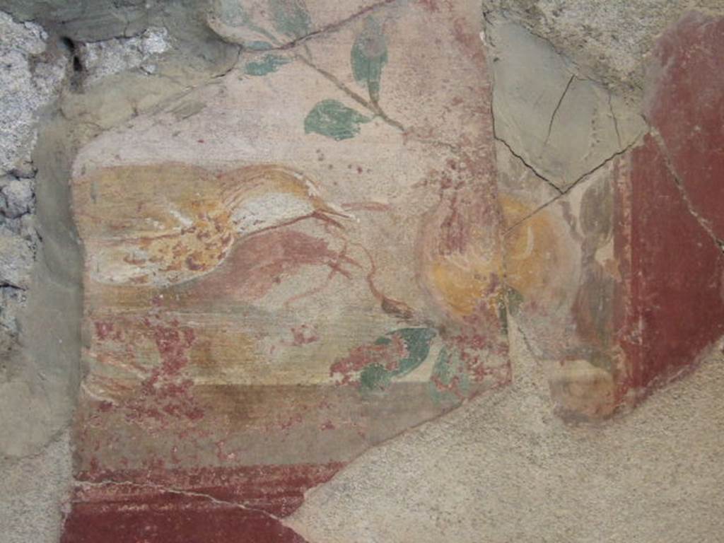 II.6.4 Pompeii. Room 2, East wall. Small fragment with painting of birds.