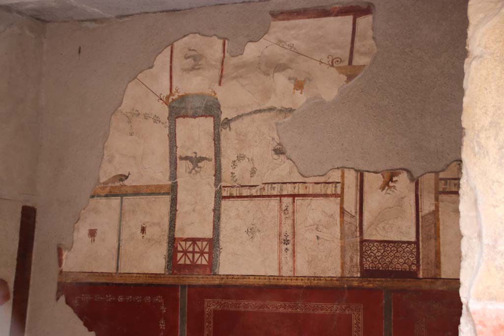 I.6.7 Pompeii. October 2020. West wall, south end. Photo courtesy of Klaus Heese.