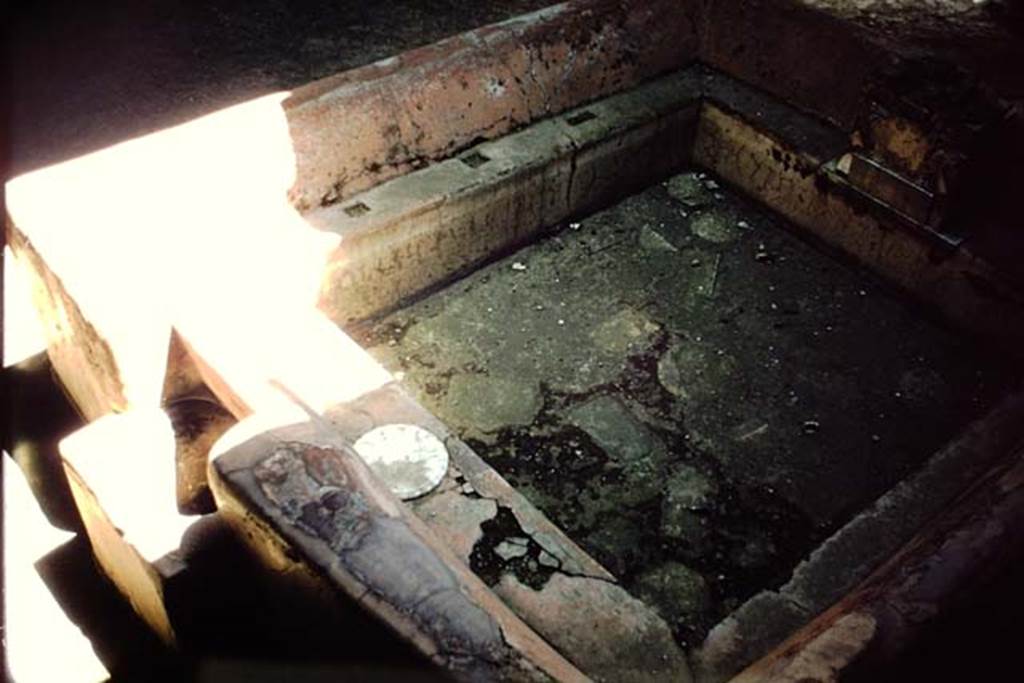 I.6.7 Pompeii. 1932. Looking into impluvium in atrium, from the north-west corner. Photo by Stanley A. Jashemski.
Source: The Wilhelmina and Stanley A. Jashemski archive in the University of Maryland Library, Special Collections (See collection page) and made available under the Creative Commons Attribution-Non Commercial License v.4. See Licence and use details.
J59f0162