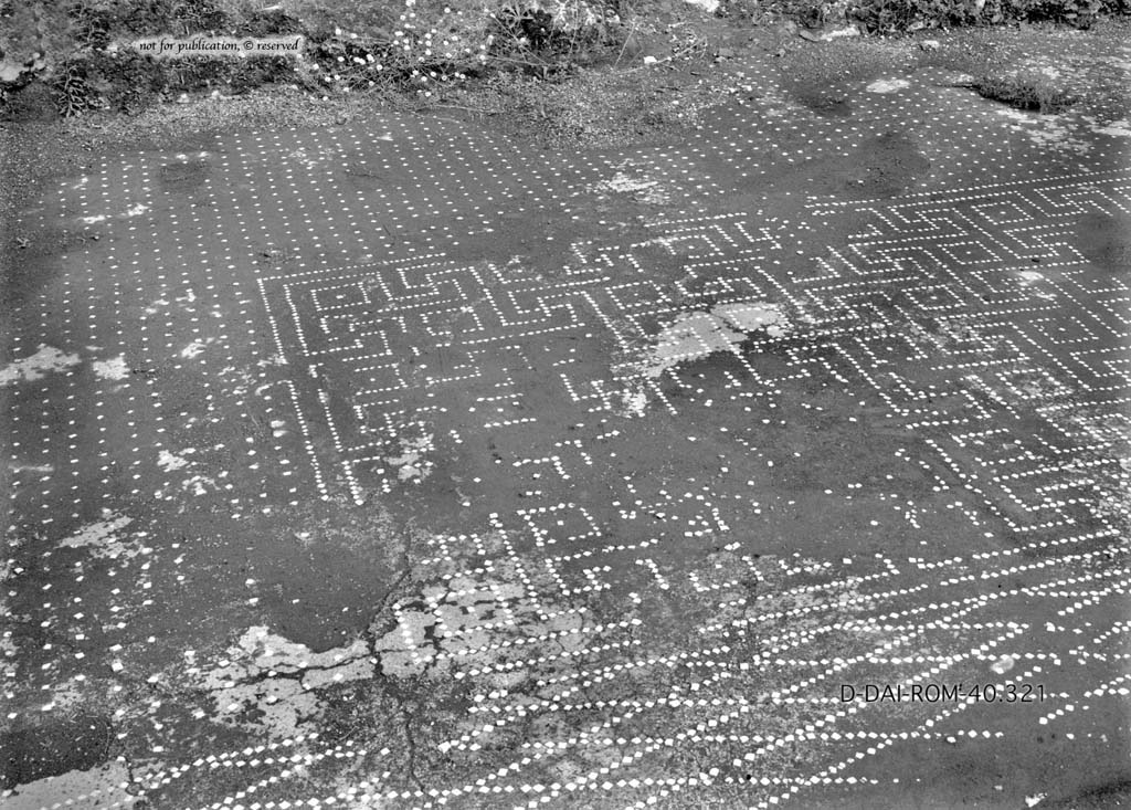 I.6.13 Pompeii. c.1930. Flooring in tablinum 6.
DAIR 40.321. Photo © Deutsches Archäologisches Institut, Abteilung Rom, Arkiv.
See Pernice, E. 1938. Pavimente und Figürliche Mosaiken: Die Hellenistische Kunst in Pompeji, Band VI. Berlin: de Gruyter, (p.42, and tav. 11.4 above.)