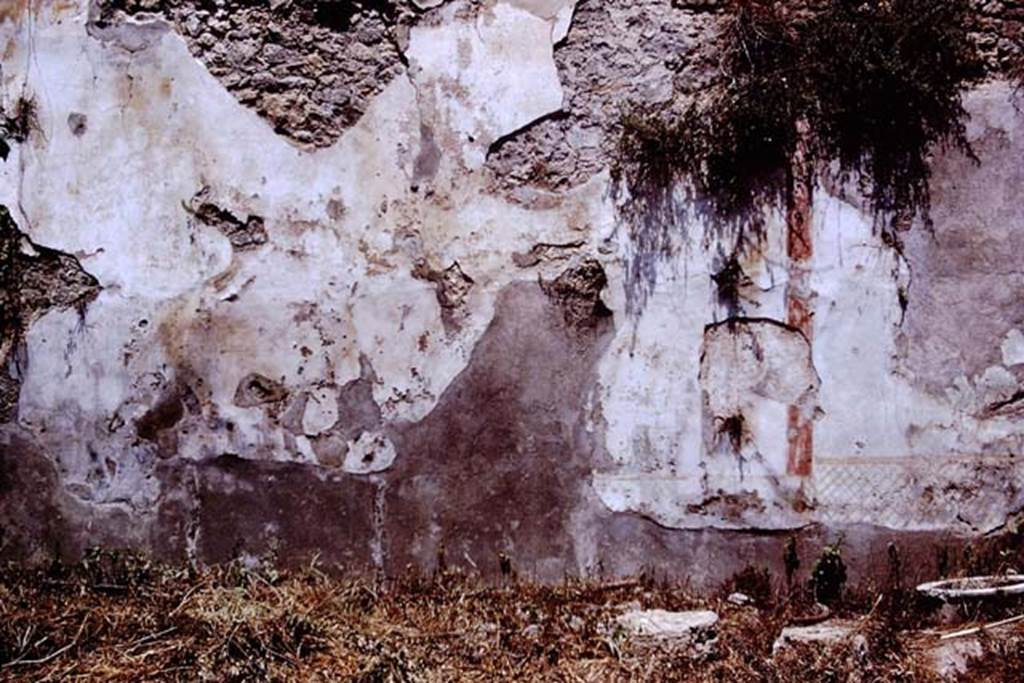 I.6.13 Pompeii. 1972. North wall of garden area, with painted garden scene. Photo by Stanley A. Jashemski.
Source: The Wilhelmina and Stanley A. Jashemski archive in the University of Maryland Library, Special Collections (See collection page) and made available under the Creative Commons Attribution-Non Commercial License v.4. See Licence and use details. J72f0054