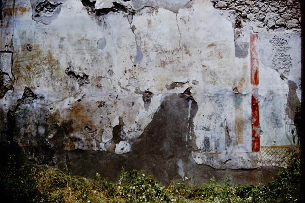 I.6.13 Pompeii. 1964. North wall of garden area, with painted garden scene. Photo by Stanley A. Jashemski.
Source: The Wilhelmina and Stanley A. Jashemski archive in the University of Maryland Library, Special Collections (See collection page) and made available under the Creative Commons Attribution-Non Commercial License v.4. See Licence and use details.
J64f1210