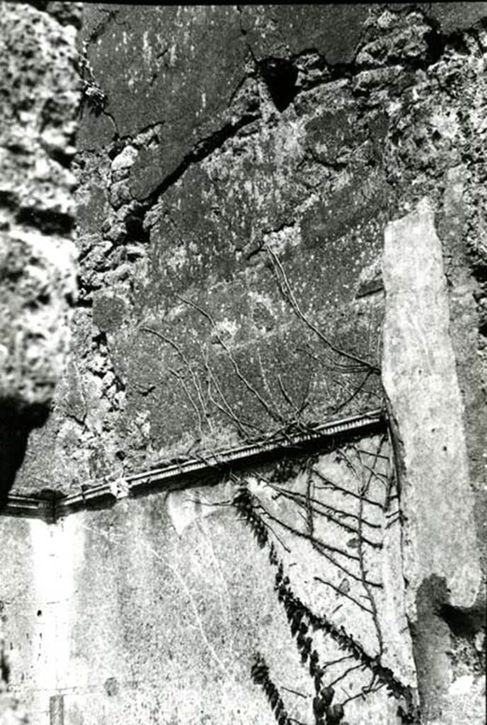 I.6.13 Pompeii. 1975. Domus of Stallius Eros, room in NE corner of atrium, E wall.
Photo courtesy of Anne Laidlaw.
American Academy in Rome, Photographic Archive. Laidlaw collection _P_75_5_10.