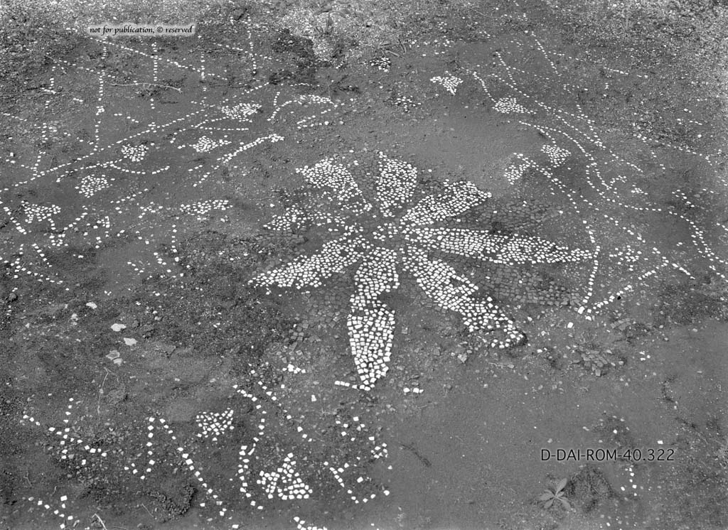 I.6.13 Pompeii. c.1930. Flooring in triclinium 4.
DAIR 40.322. Photo © Deutsches Archäologisches Institut, Abteilung Rom, Arkiv.
See Pernice, E. 1938. Pavimente und Figürliche Mosaiken: Die Hellenistische Kunst in Pompeji, Band VI. Berlin: de Gruyter, (p.42, and tav. 11.5 above.)