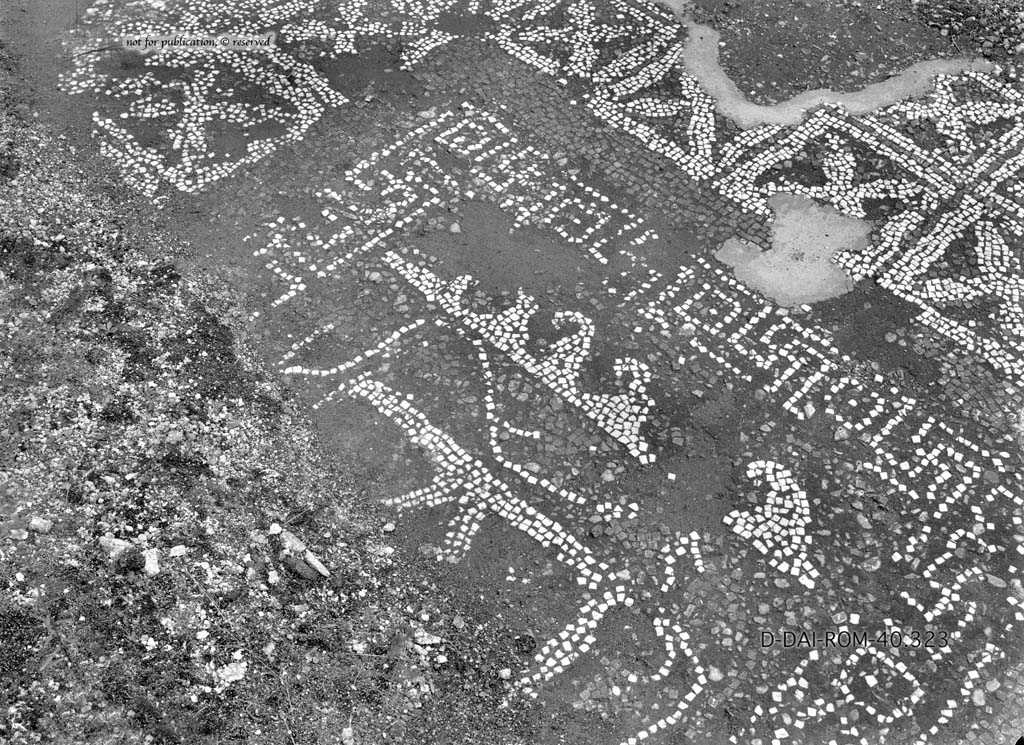 I.6.13 Pompeii. c.1930. Flooring in room 9.
DAIR 40.323. Photo © Deutsches Archäologisches Institut, Abteilung Rom, Arkiv.
See Pernice, E. 1938. Pavimente und Figürliche Mosaiken: Die Hellenistische Kunst in Pompeji, Band VI. Berlin: de Gruyter, (p.42, and tav. 11.6 above.)
