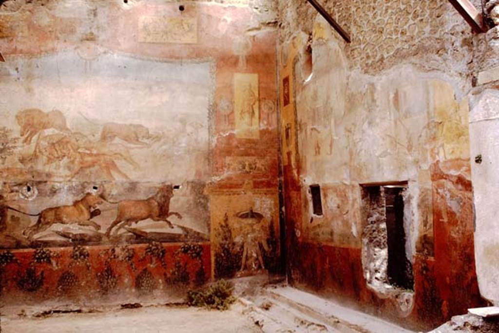 I.6.15 Pompeii. 1964. North-east corner and east wall. Photo by Stanley A. Jashemski.
Source: The Wilhelmina and Stanley A. Jashemski archive in the University of Maryland Library, Special Collections (See collection page) and made available under the Creative Commons Attribution-Non Commercial License v.4. See Licence and use details.
J64f1404