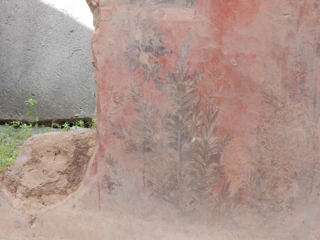 I.6.15 Pompeii. June 2019. Room 9, detail of plant paintings on south side of window in east wall of small garden.
Photo courtesy of Buzz Ferebee.