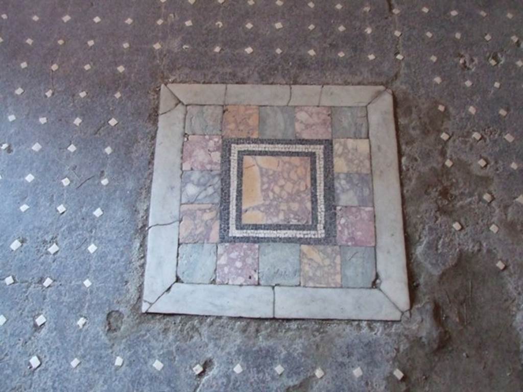 I.6.15 Pompeii. March 2009. Room 12, emblema of coloured marble in centre of mosaic floor.