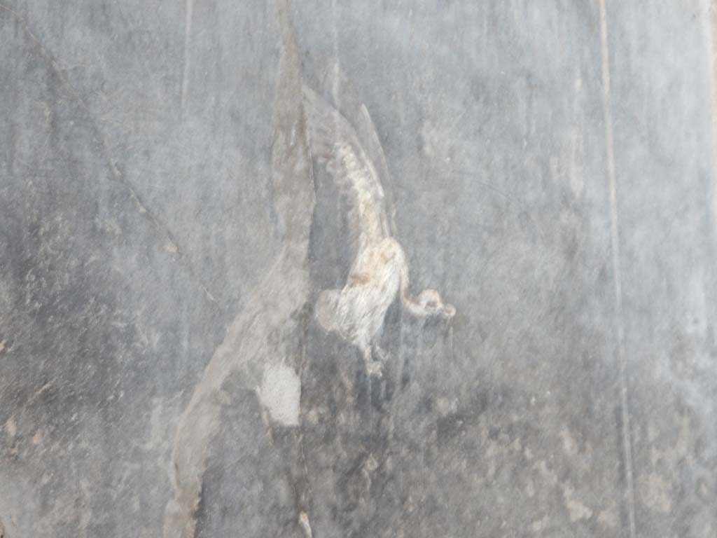 I.6.15 Pompeii. June 2019. Room 12, painted decoration from panel on west wall.
Photo courtesy of Buzz Ferebee.