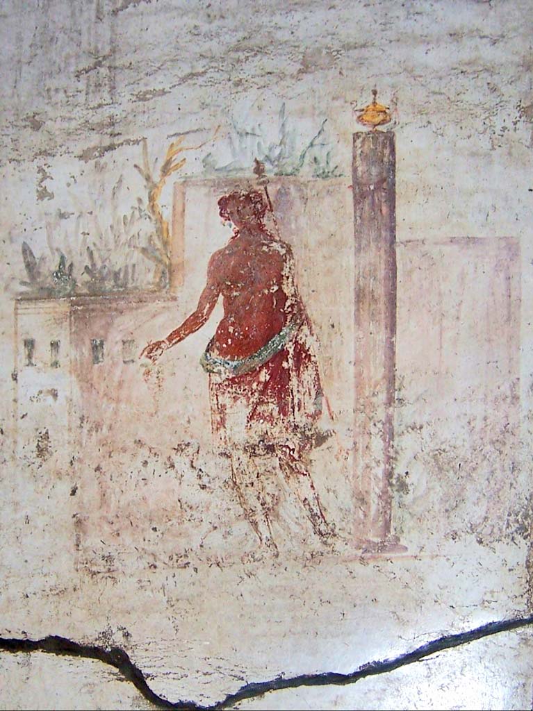 I.6.15 Pompeii. 2019.
Room 12, triclinium, west wall, detail of fresco with Dionysus and architectures. Photo courtesy of Davide Peluso.
Kuivalainen describes this painting as –
“A youth (young half-naked Bacchus) is standing with his weight on his right foot, against a white background.
A red robe with a light blue lining covers his hips. In his outstretched right hand he holds a bunch of grapes, and in his left hand he carries a yellow thyrsus with a cone and ribbon at the upper end, and another decoration at the lower end; his head is slightly turned to the right, and he is looking down at the panther; his curly hair reaches to his shoulders. On the left, the panther, standing with his back facing the viewer, turns its head towards the youth. On the right of the picture, a votive pillar, decorated with red ribbons and a lekanis on top. In the background on the left, buildings, and yellow and green vegetation.”
See Kuivalainen, I., 2021. The Portrayal of Pompeian Bacchus. Commentationes Humanarum Litterarum 140. Helsinki: Finnish Society of Sciences and Letters, (p.107-8, C3).