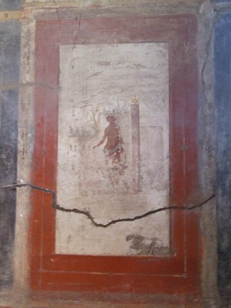 I.6.15 Pompeii. March 2009. Room 12, west wall. Central panel of Dionysus. See Bragantini, de Vos, Badoni, 1981. Pitture e Pavimenti di Pompei, Parte 1. Rome: ICCD. (p. 42)