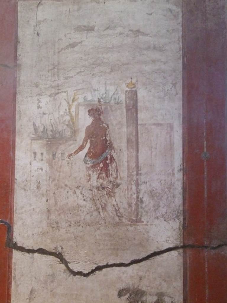 I.6.15 Pompeii. March 2009. Room 12, west wall. Central panel of Dionysus.