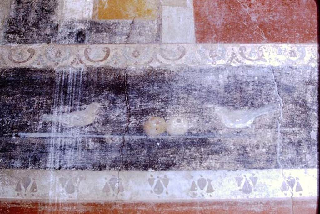 I.6.15 Pompeii. 1968. Room 13, frieze at south end of west wall showing two birds with fruit. Photo by Stanley A. Jashemski.
Source: The Wilhelmina and Stanley A. Jashemski archive in the University of Maryland Library, Special Collections (See collection page) and made available under the Creative Commons Attribution-Non Commercial License v.4. See Licence and use details.
J68f0517