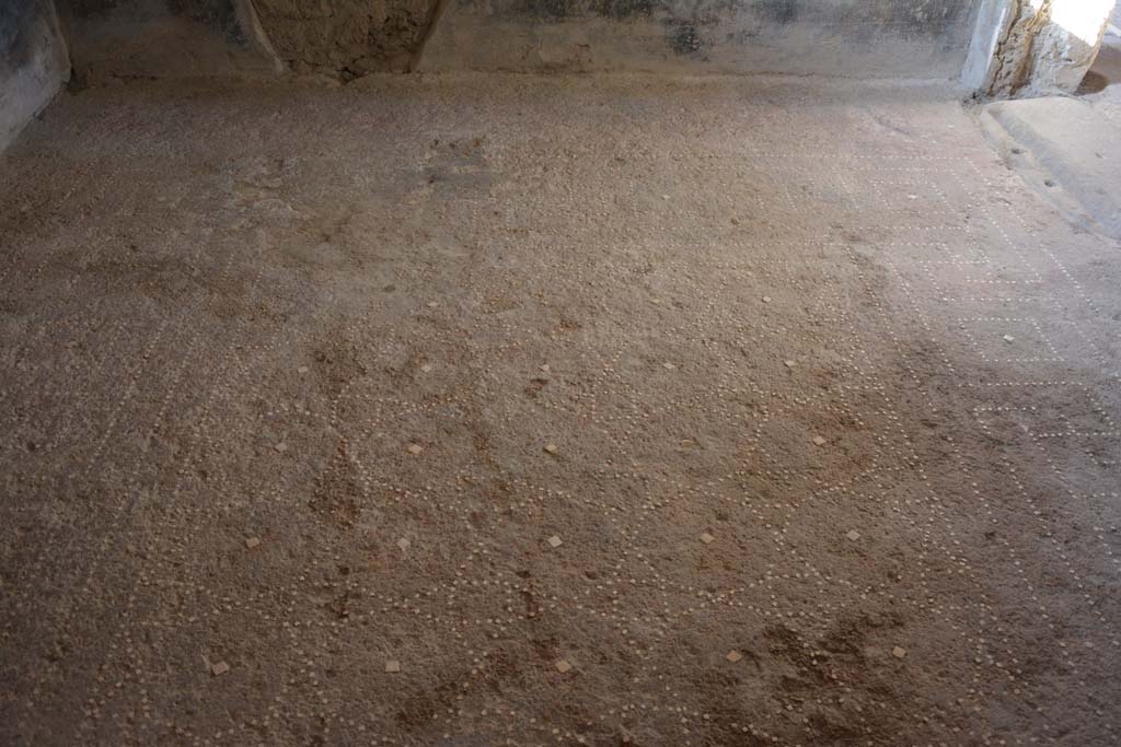 I.6.15 Pompeii. October 2019. Room 13, looking west across flooring.
Foto Annette Haug, ERC Grant 681269 DÉCOR