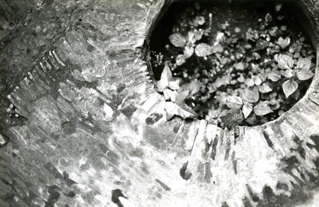 I.6.15 Pompeii. 1976. Casa dei Ceii, impluvium puteal, detail. Photo courtesy of Anne Laidlaw.
American Academy in Rome, Photographic Archive. Laidlaw collection _P_76_3_27.