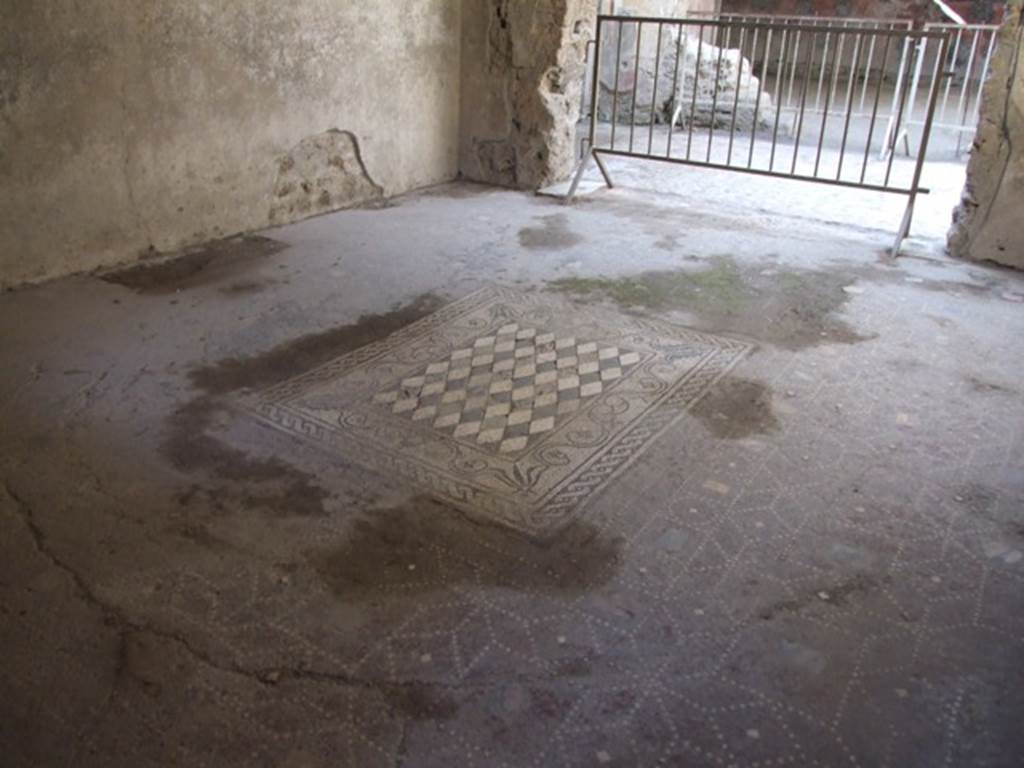 I.6.15 Pompeii. March 2009. Room 6, Tablinum. Mosaic floor.