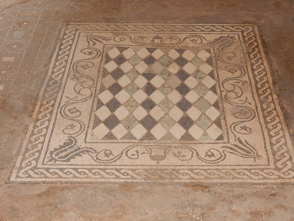 I.6.15 Pompeii. June 2019.
Room 6, looking south across mosaic emblema in centre of floor in tablinum. Photo courtesy of Buzz Ferebee.