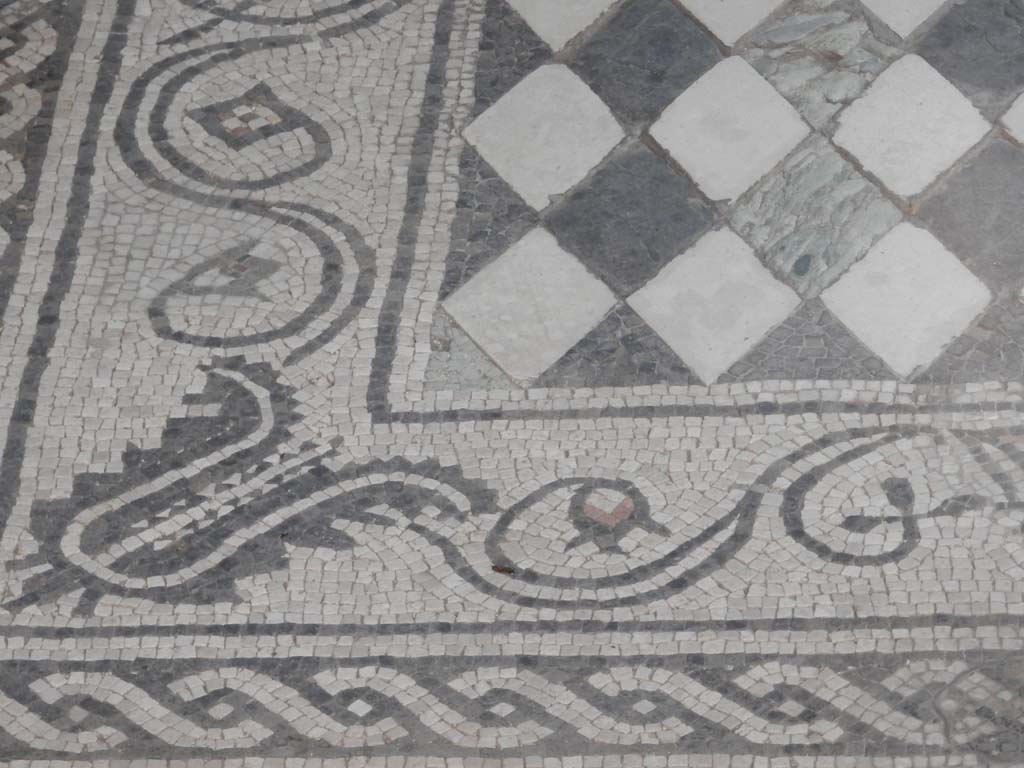 I.6.15 Pompeii. June 2019. Room 6, detail of mosaic emblema in centre of floor in tablinum.
Photo courtesy of Buzz Ferebee.