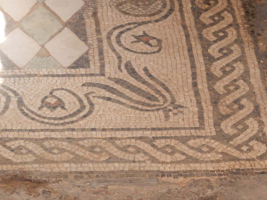 I.6.15 Pompeii. June 2019. Room 6, detail of mosaic emblema in centre of floor in tablinum.
Photo courtesy of Buzz Ferebee.