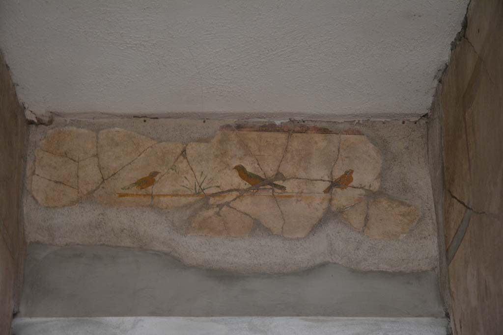I.6.15 Pompeii. March 2019.
Corridor 7, south wall above doorway to atrium, painted birds similar to those in fauces/entrance corridor.
Foto Annette Haug, ERC Grant 681269 DÉCOR