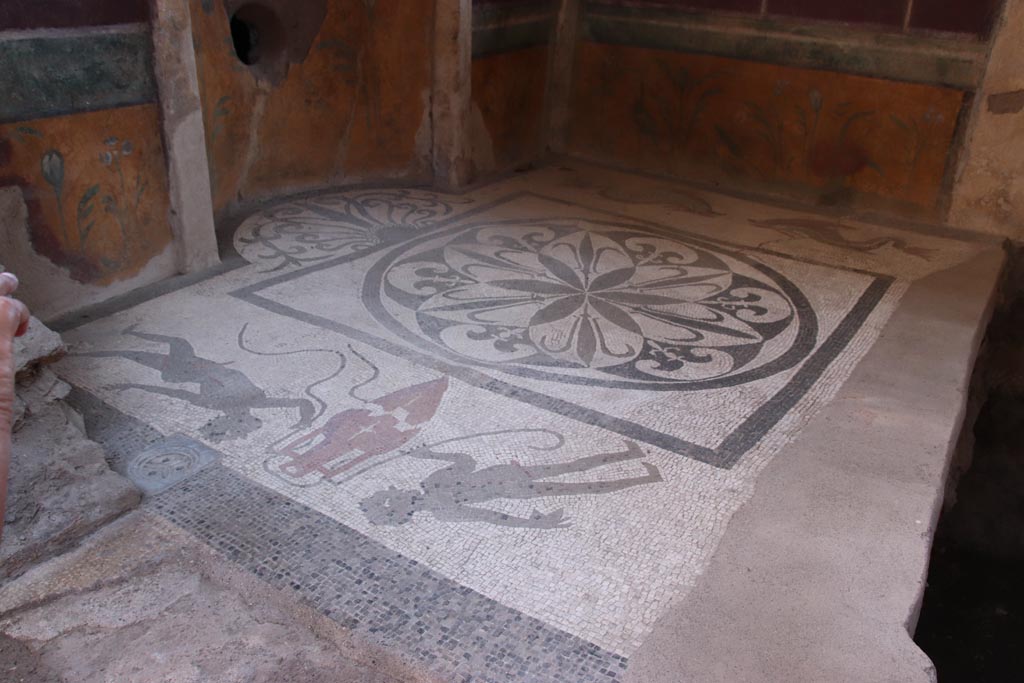 I.6.16 Pompeii. October 2022. Looking north-east across mosaic flooring in caldarium in baths’ area. Photo courtesy of Klaus Heese.