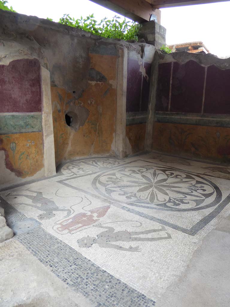 I.6.16 Pompeii. January 2017. Looking north-east across the mosaic flooring.
Foto Annette Haug, ERC Grant 681269 DÉCOR.