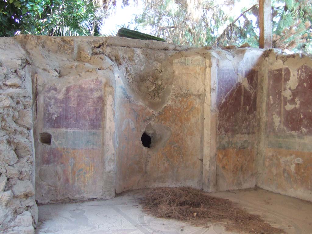 I.6.16 Pompeii. May 2006. Looking towards north wall, from rear entrance.