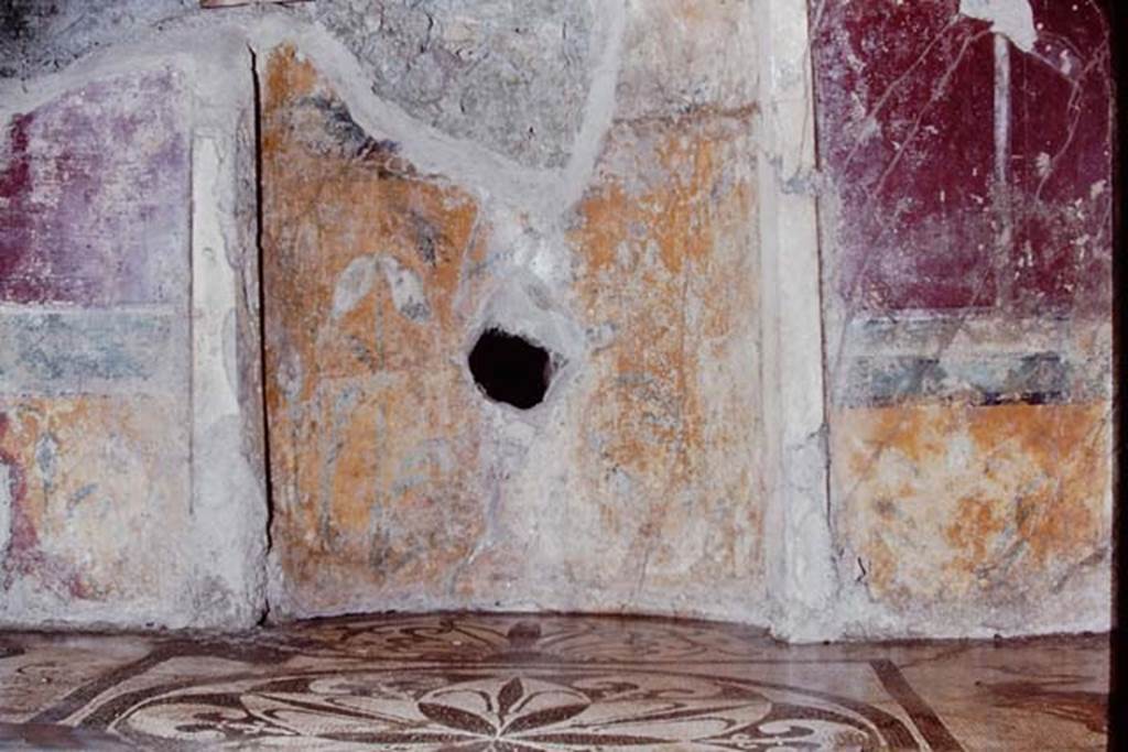 I.6.16 Pompeii, 1968. Centre of north wall. Photo by Stanley A. Jashemski.
Source: The Wilhelmina and Stanley A. Jashemski archive in the University of Maryland Library, Special Collections (See collection page) and made available under the Creative Commons Attribution-Non Commercial License v.4. See Licence and use details.
J68f0619