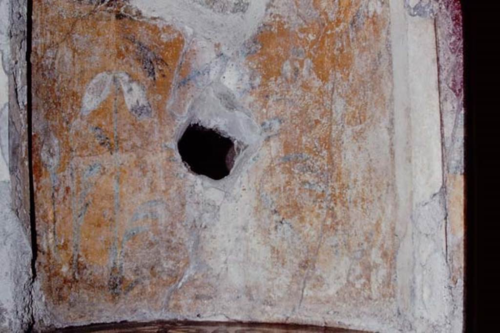 I.6.16 Pompeii, 1968. Detail of centre of north wall. Photo by Stanley A. Jashemski.
Source: The Wilhelmina and Stanley A. Jashemski archive in the University of Maryland Library, Special Collections (See collection page) and made available under the Creative Commons Attribution-Non Commercial License v.4. See Licence and use details.
J68f0620