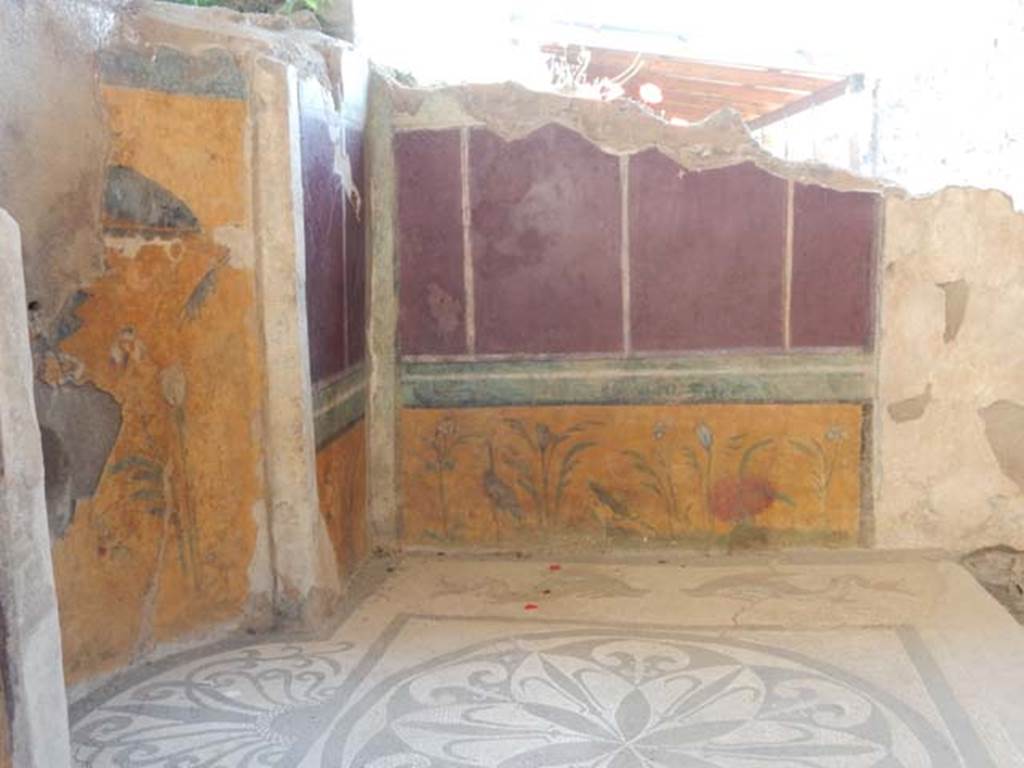 I.6.16 Pompeii. May 2016. Looking towards the north-east corner and east wall.
The bases of the walls were decorated with aquatic plants against a yellow background. Photo courtesy of Buzz Ferebee.