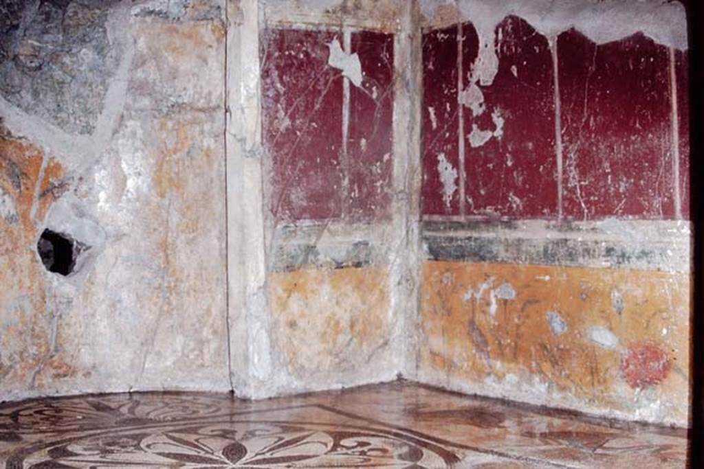 I.6.16 Pompeii, 1968. North-east corner. Photo by Stanley A. Jashemski.
Source: The Wilhelmina and Stanley A. Jashemski archive in the University of Maryland Library, Special Collections (See collection page) and made available under the Creative Commons Attribution-Non Commercial License v.4. See Licence and use details.
J68f0618