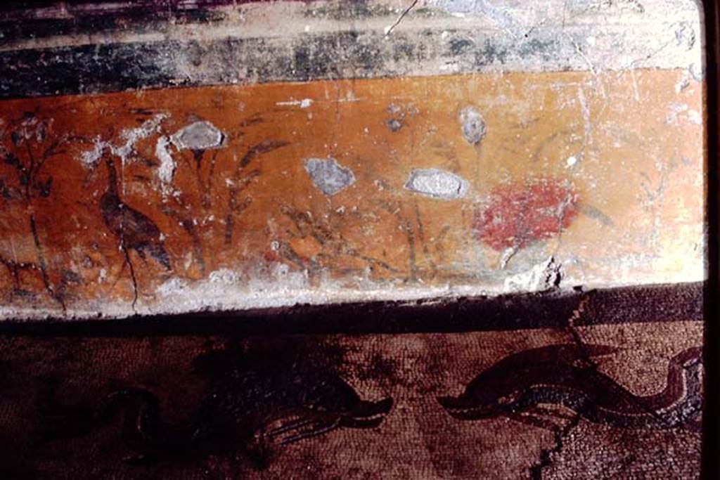 I.6.16 Pompeii, 1968. Detail from east wall in north-east corner. Photo by Stanley A. Jashemski.
Source: The Wilhelmina and Stanley A. Jashemski archive in the University of Maryland Library, Special Collections (See collection page) and made available under the Creative Commons Attribution-Non Commercial License v.4. See Licence and use details.
J68f0615