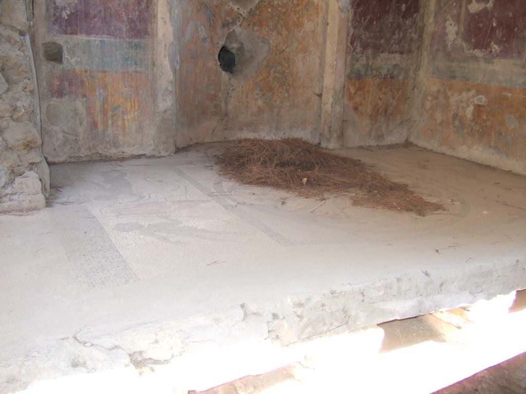 I.6.16 Pompeii. May 2006. View from rear entrance, mosaic floor