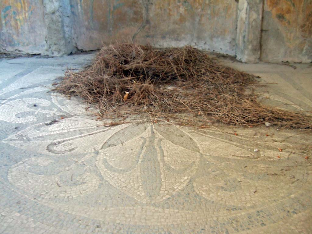 I.6.16 Pompeii. May 2006. View from rear entrance, centre of mosaic floor.