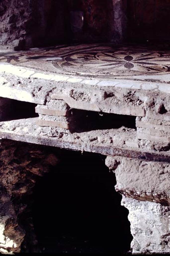 I.6.16 Pompeii, 1968. Mosaic floor and hypocaust in baths area. Photo by Stanley A. Jashemski.
Source: The Wilhelmina and Stanley A. Jashemski archive in the University of Maryland Library, Special Collections (See collection page) and made available under the Creative Commons Attribution-Non Commercial License v.4. See Licence and use details.
J68f0629