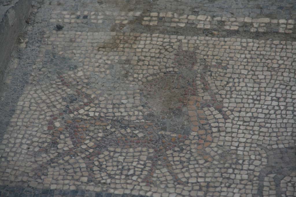 I.7.1 Pompeii. April 2013. Detail of mosaic flooring, Centaur, on left of south end of entrance corridor.
Photo courtesy of Klaus Heese.