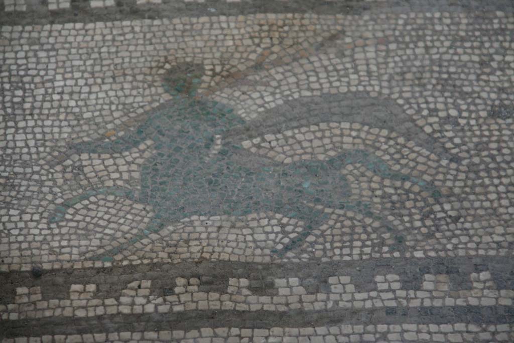 I.7.1 Pompeii. April 2013. Detail of mosaic flooring, Centaur, on right of south end of entrance corridor.
Photo courtesy of Klaus Heese.