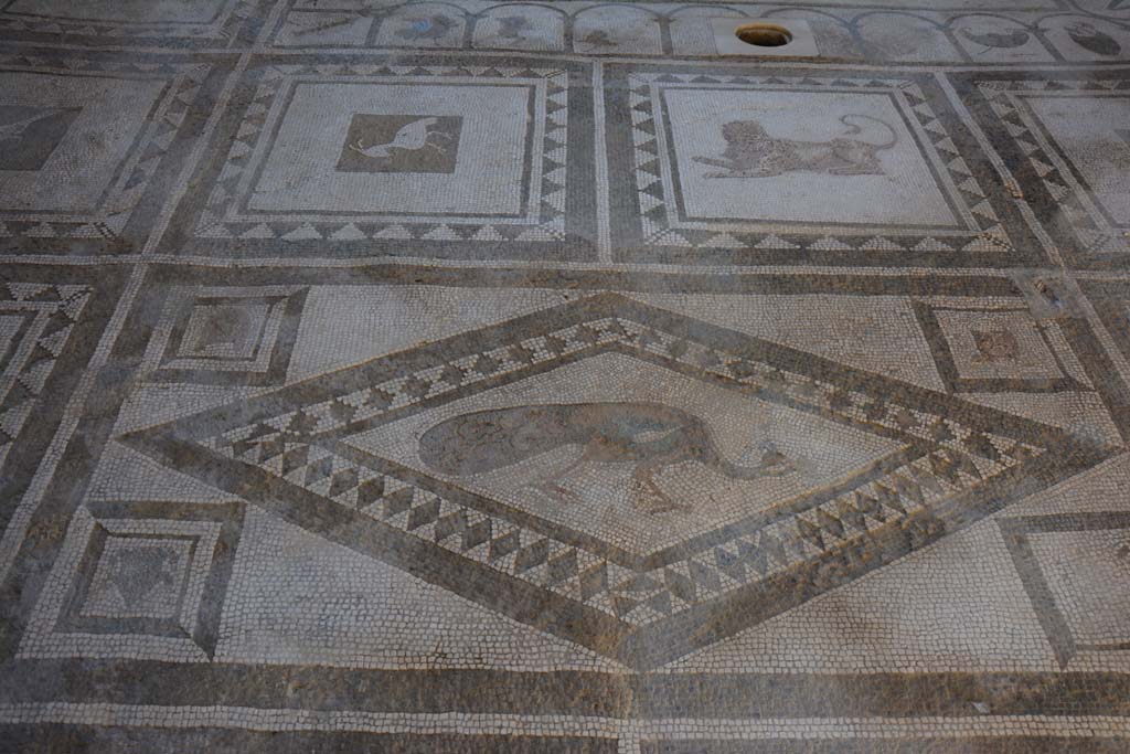 I.7.1 Pompeii. October 2019. Detail of mosaic bird from centre of atrium at north end.
Foto Annette Haug, ERC Grant 681269 DÉCOR.