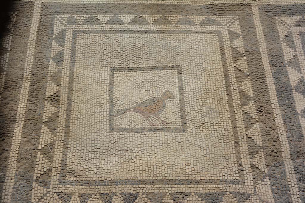 I.7.1 Pompeii. October 2019. Detail of mosaic bird from floor in atrium.
Foto Annette Haug, ERC Grant 681269 DÉCOR.