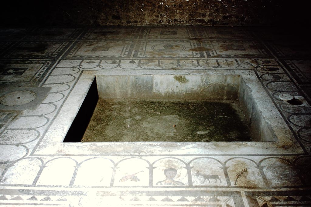 I.7.1 Pompeii. 1959. Impluvium in atrium, looking west from east side. Photo by Stanley A. Jashemski.
Source: The Wilhelmina and Stanley A. Jashemski archive in the University of Maryland Library, Special Collections (See collection page) and made available under the Creative Commons Attribution-Non-Commercial License v.4. See Licence and use details.
J59f0358