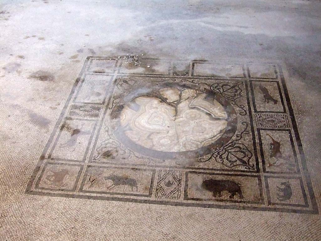 I.7.1 Pompeii. December 2006. Mosaic in tablinum.