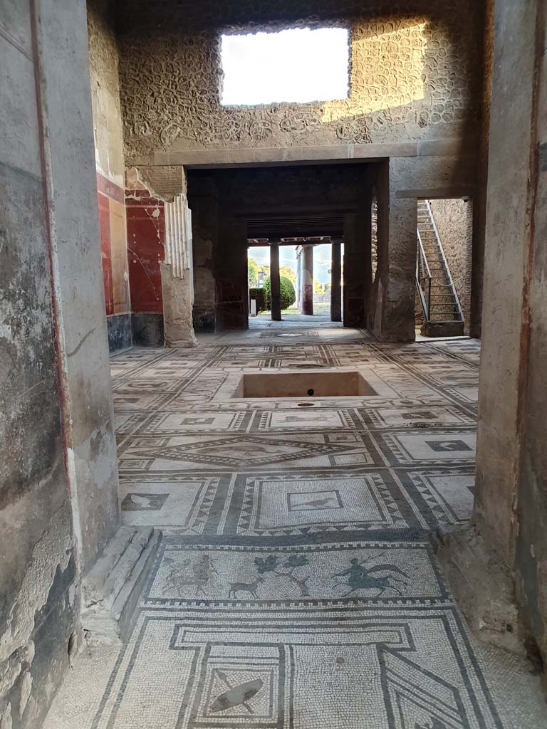 I.7.1 Pompeii. September 2019. Looking south from entrance corridor towards the complex multi-colour mosaic with birds and animals in the atrium.
Foto Annette Haug, ERC Grant 681269 DÉCOR.