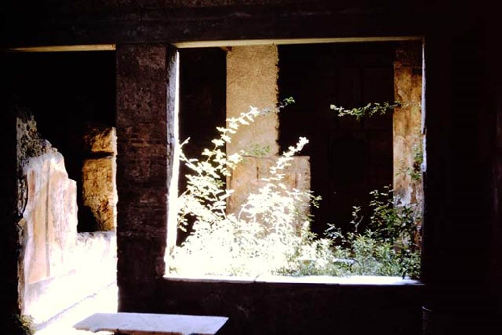 I.7.3 Pompeii. 1964. Looking south-east through window from atrium into small garden. Photo by Stanley A. Jashemski.
Source: The Wilhelmina and Stanley A. Jashemski archive in the University of Maryland Library, Special Collections (See collection page) and made available under the Creative Commons Attribution-Non Commercial License v.4. See Licence and use details.
J64f1713