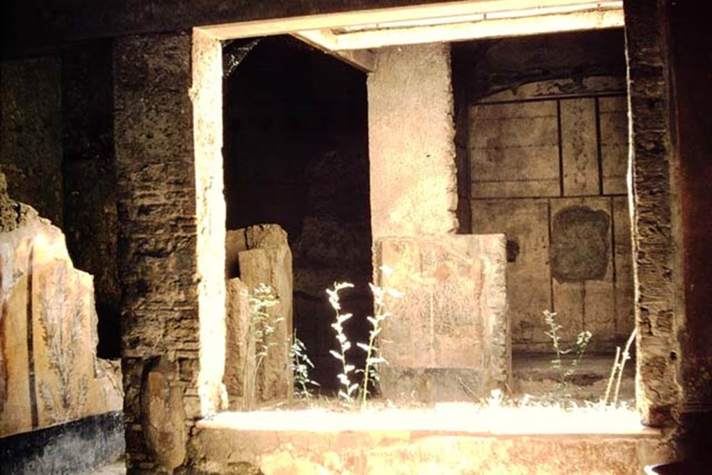 I.7.3 Pompeii. 1959. Looking south-east through window from atrium into small garden.
Photo by Stanley A. Jashemski.
Source: The Wilhelmina and Stanley A. Jashemski archive in the University of Maryland Library, Special Collections (See collection page) and made available under the Creative Commons Attribution-Non Commercial License v.4. See Licence and use details.
J59f0475