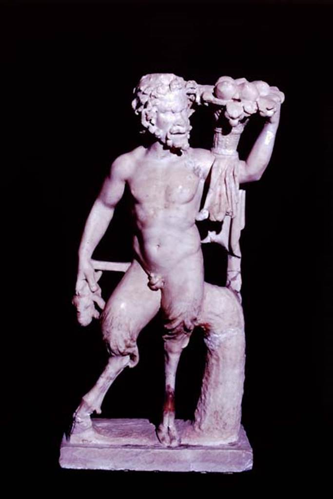 I.7.11 Pompeii, 1978. Statuette of a goat-footed pan. Photo by Stanley A. Jashemski.
Source: The Wilhelmina and Stanley A. Jashemski archive in the University of Maryland Library, Special Collections (See collection page) and made available under the Creative Commons Attribution-Non Commercial License v.4. See Licence and use details. J78f0582
According to Wilhelmina, “It is quite possible that the four badly broken, little marble statuettes found in the triclinium were part of the decoration from the garden area, and like the statue of the Ephebe had been brought into the house for protection, or perhaps to be mended after the earthquake.” The statuette of Pan was restored from nineteen fragments, and was made of white marble but it showed definite evidence of having been completely gilded.
See Jashemski, W. F., 1993. The Gardens of Pompeii, Volume II: Appendices. New York: Caratzas. (p.40)