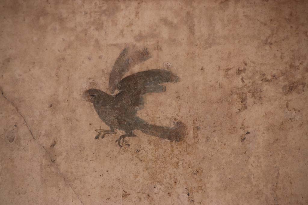 I.7.11 Pompeii. September 2021.
East wall of exedra, detail of painted bird from under panther in panel on south side. Photo courtesy of Klaus Heese.