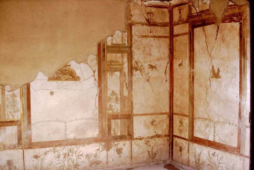I.7.11 Pompeii. 1968. Exedra on east side of north portico, looking towards south-east corner. Photo by Stanley A. Jashemski.
Source: The Wilhelmina and Stanley A. Jashemski archive in the University of Maryland Library, Special Collections (See collection page) and made available under the Creative Commons Attribution-Non Commercial License v.4. See Licence and use details.
J68f0419