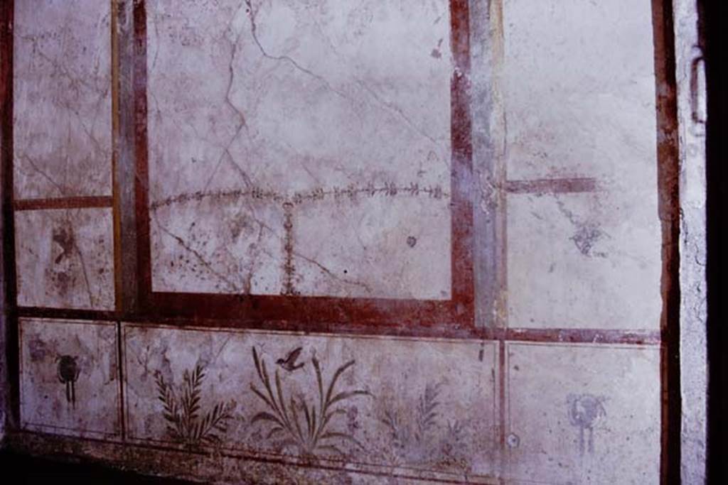I.7.11 Pompeii. 1968. South wall of exedra. Photo by Stanley A. Jashemski.
Source: The Wilhelmina and Stanley A. Jashemski archive in the University of Maryland Library, Special Collections (See collection page) and made available under the Creative Commons Attribution-Non Commercial License v.4. See Licence and use details.
J68f0413