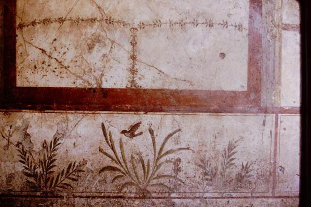I.7.11 Pompeii. 1968. South wall of exedra, detail of painted bird and plants.
Photo by Stanley A. Jashemski.
Source: The Wilhelmina and Stanley A. Jashemski archive in the University of Maryland Library, Special Collections (See collection page) and made available under the Creative Commons Attribution-Non Commercial License v.4. See Licence and use details.
J68f0411
